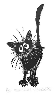 Cats Whiskers